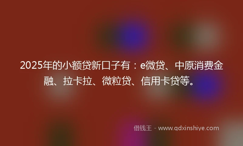 2025年的小额贷新口子有：e微贷、中原消费金融、拉卡拉、微粒贷、信用卡贷等。