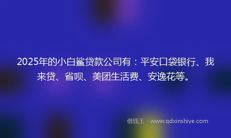 2025年的小白鲨贷款公司有：平安口袋银行、我来贷、省呗、美团生活费、安逸花等。