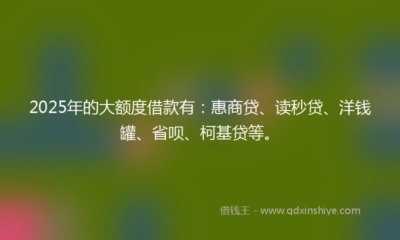 2025年的大额度借款有：惠商贷、读秒贷、洋钱罐、省呗、柯基贷等。