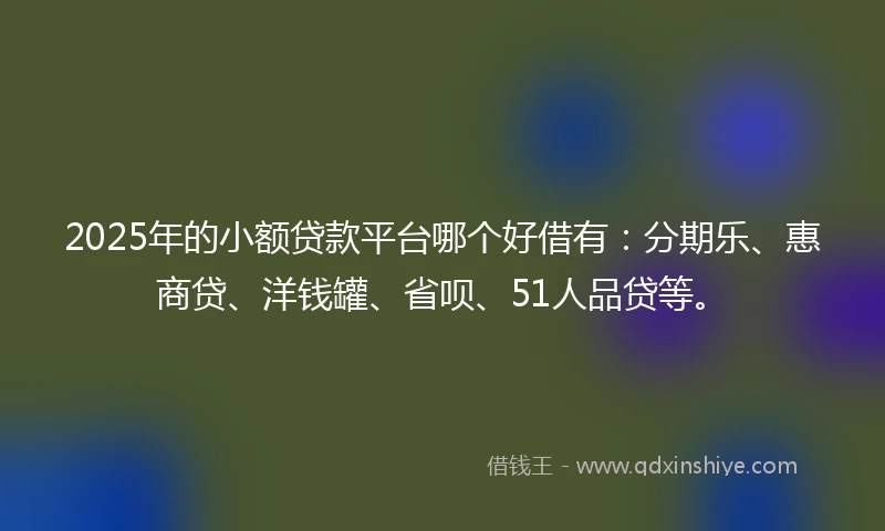 2025年的小额贷款平台哪个好借有：分期乐、惠商贷、洋钱罐、省呗、51人品贷等。