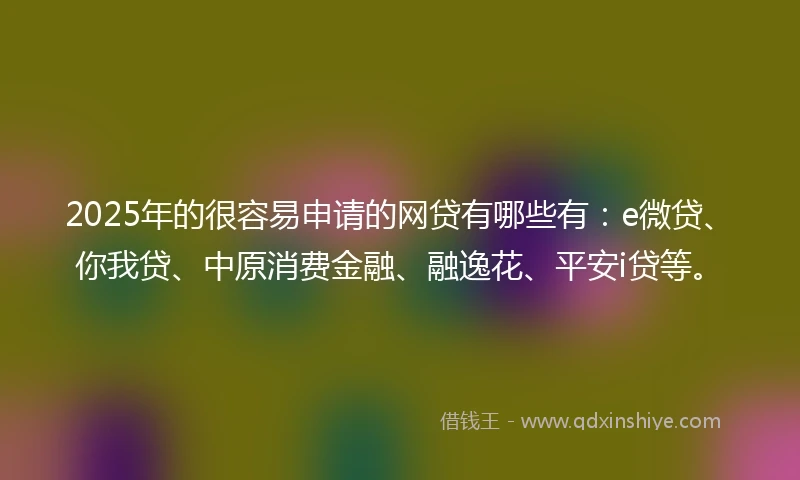 2025年的很容易申请的网贷有哪些有：e微贷、你我贷、中原消费金融、融逸花、平安i贷等。