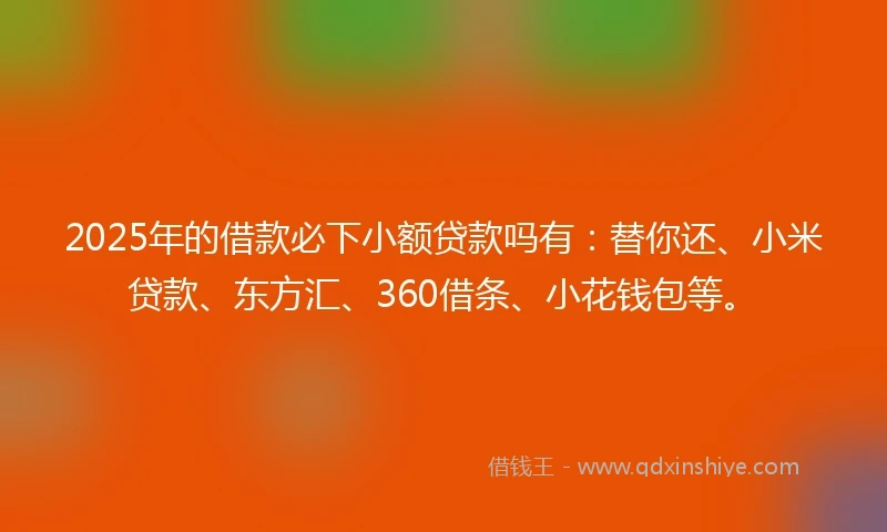 2025年的借款必下小额贷款吗有：替你还、小米贷款、东方汇、360借条、小花钱包等。