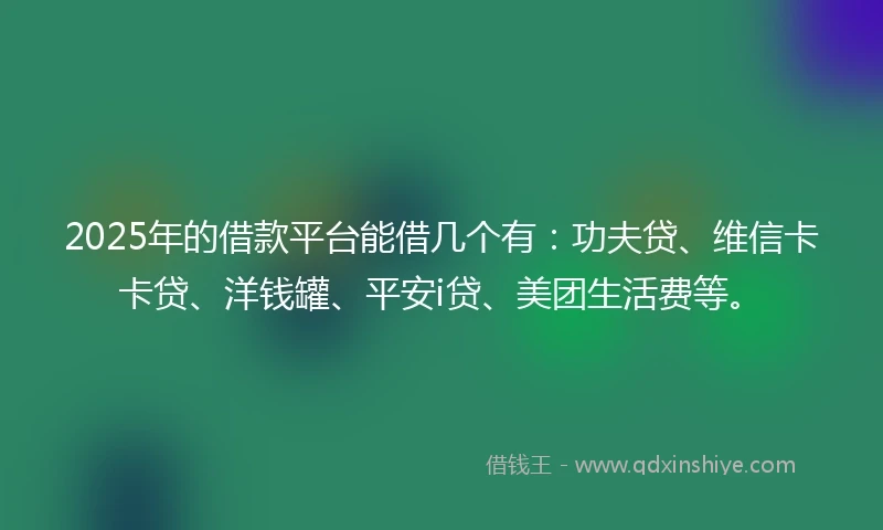 2025年的借款平台能借几个有：功夫贷、维信卡卡贷、洋钱罐、平安i贷、美团生活费等。