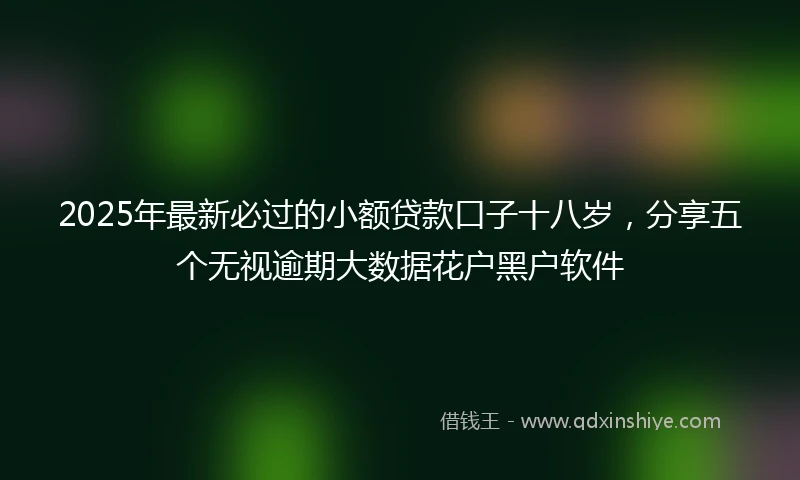 2025年最新必过的小额贷款口子十八岁，分享五个无视逾期大数据花户黑户软件