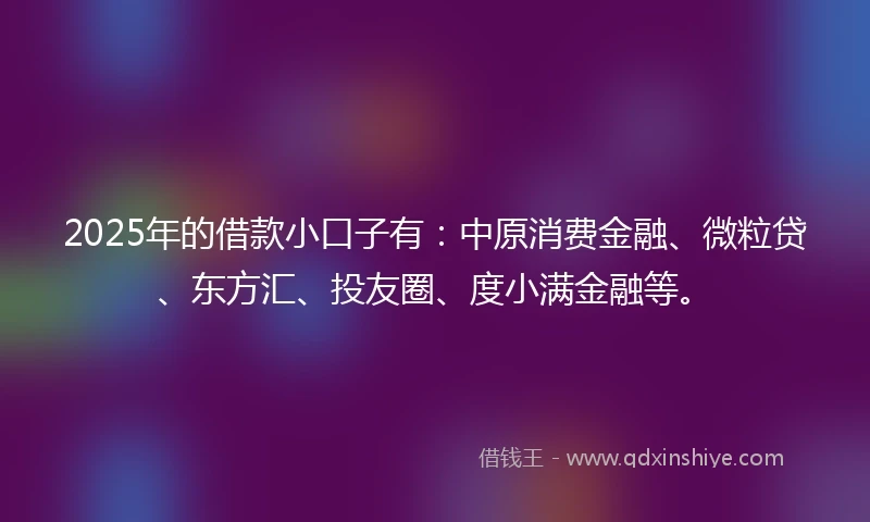 2025年的借款小口子有：中原消费金融、微粒贷、东方汇、投友圈、度小满金融等。