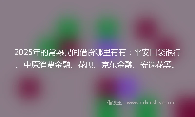 2025年的常熟民间借贷哪里有有：平安口袋银行、中原消费金融、花呗、京东金融、安逸花等。
