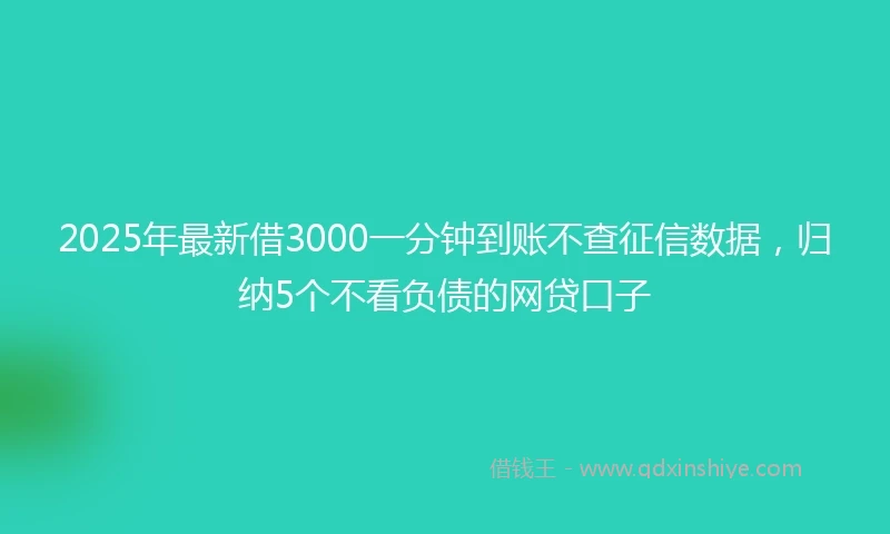 2025年最新借3000一分钟到账不查征信数据，归纳5个不看负债的网贷口子