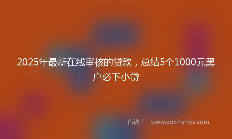 2025年最新在线审核的贷款，总结5个1000元黑户必下小贷