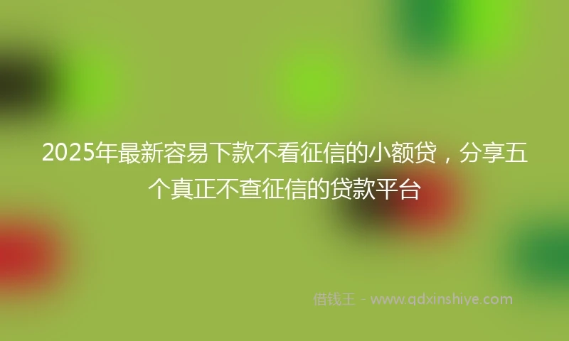 2025年最新容易下款不看征信的小额贷，分享五个真正不查征信的贷款平台