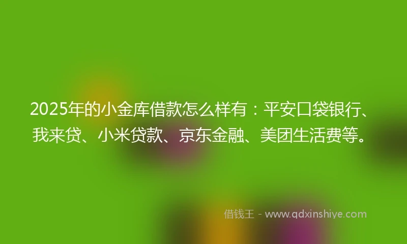 2025年的小金库借款怎么样有：平安口袋银行、我来贷、小米贷款、京东金融、美团生活费等。