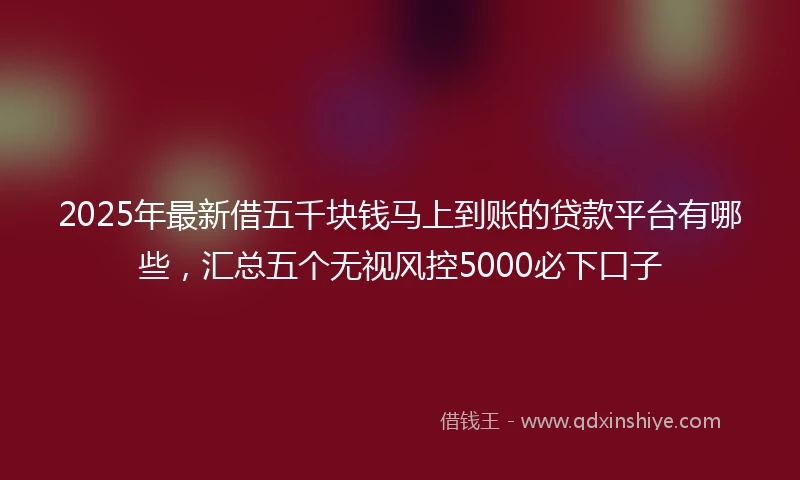 2025年最新借五千块钱马上到账的贷款平台有哪些，汇总五个无视风控5000必下口子
