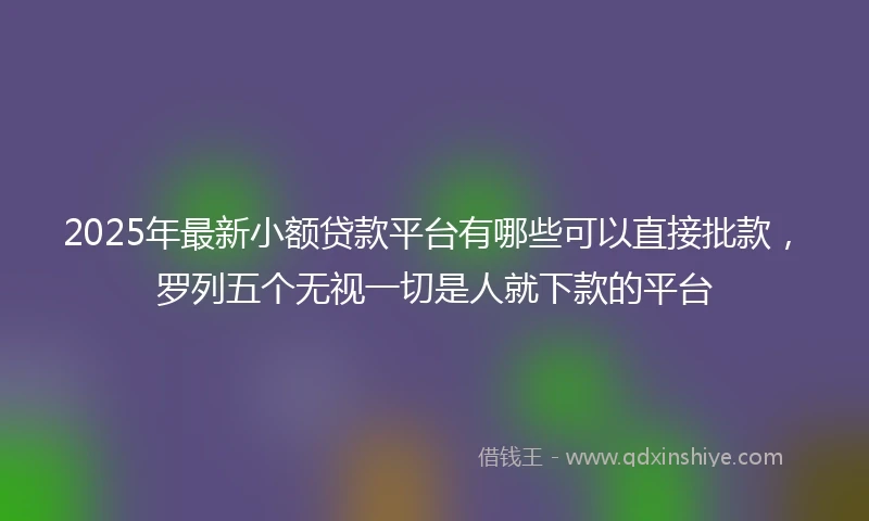2025年最新小额贷款平台有哪些可以直接批款，罗列五个无视一切是人就下款的平台