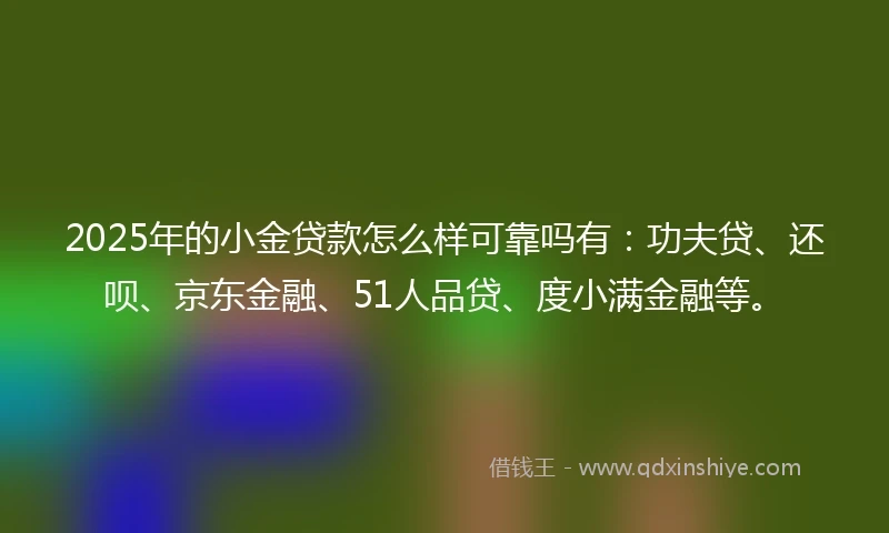 2025年的小金贷款怎么样可靠吗有：功夫贷、还呗、京东金融、51人品贷、度小满金融等。