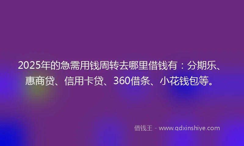 2025年的急需用钱周转去哪里借钱有：分期乐、惠商贷、信用卡贷、360借条、小花钱包等。