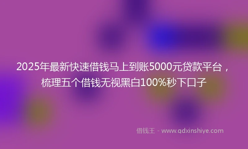 2025年最新快速借钱马上到账5000元贷款平台，梳理五个借钱无视黑白100%秒下口子