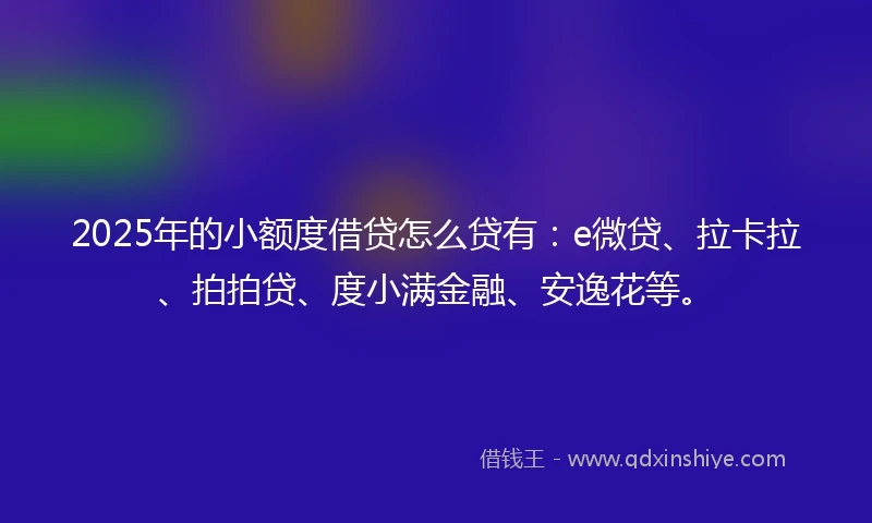 2025年的小额度借贷怎么贷有：e微贷、拉卡拉、拍拍贷、度小满金融、安逸花等。