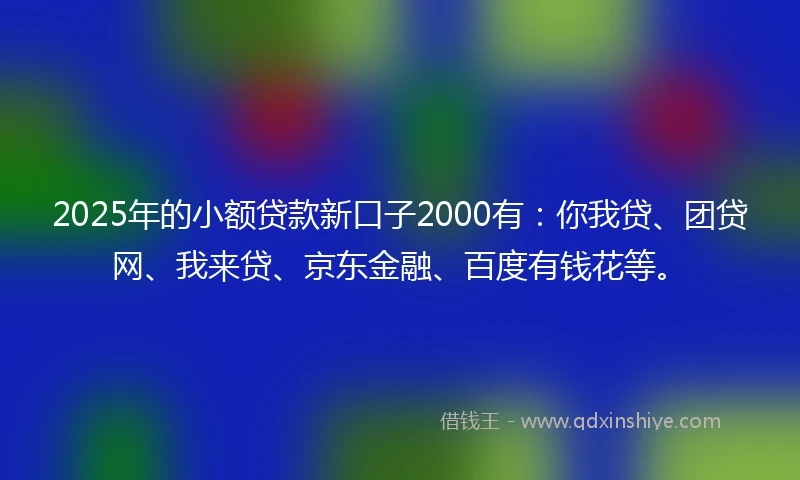 2025年的小额贷款新口子2000有：你我贷、团贷网、我来贷、京东金融、百度有钱花等。