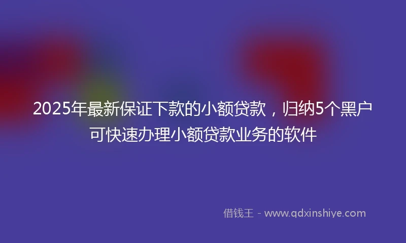 2025年最新保证下款的小额贷款，归纳5个黑户可快速办理小额贷款业务的软件