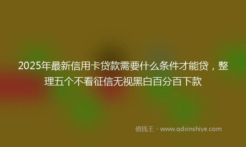 2025年最新信用卡贷款需要什么条件才能贷，整理五个不看征信无视黑白百分百下款