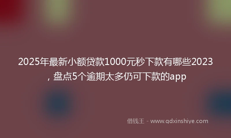 2025年最新小额贷款1000元秒下款有哪些2023，盘点5个逾期太多仍可下款的app