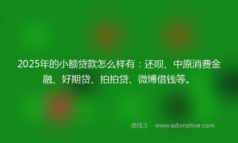 2025年的小额贷款怎么样有：还呗、中原消费金融、好期贷、拍拍贷、微博借钱等。