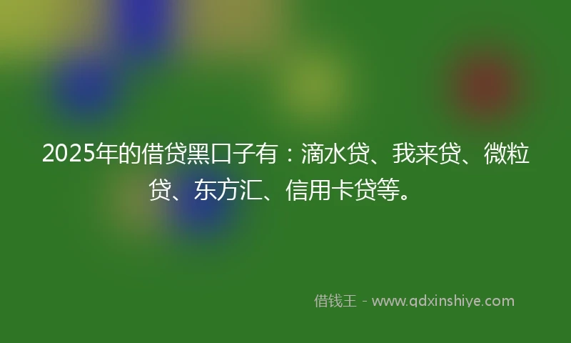 2025年的借贷黑口子有：滴水贷、我来贷、微粒贷、东方汇、信用卡贷等。