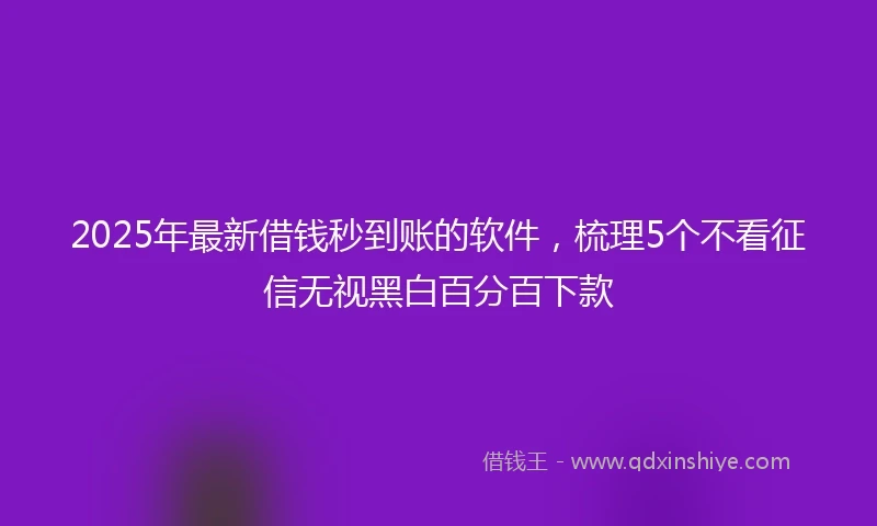 2025年最新借钱秒到账的软件，梳理5个不看征信无视黑白百分百下款