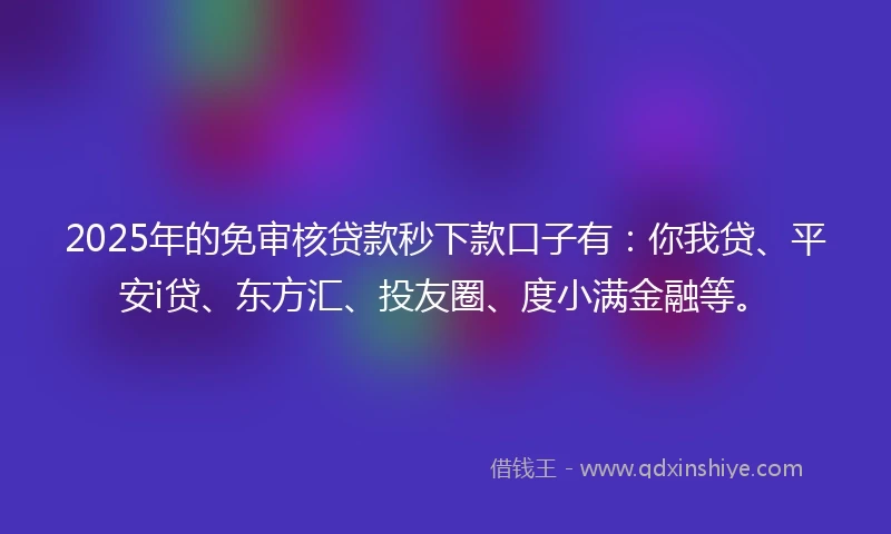 2025年的免审核贷款秒下款口子有：你我贷、平安i贷、东方汇、投友圈、度小满金融等。