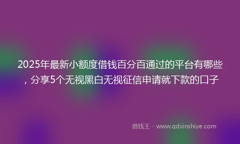2025年最新小额度借钱百分百通过的平台有哪些，分享5个无视黑白无视征信申请就下款的口子