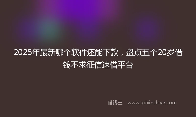 2025年最新哪个软件还能下款，盘点五个20岁借钱不求征信速借平台
