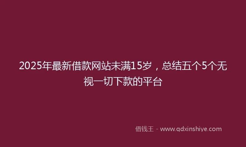 2025年最新借款网站未满15岁，总结五个5个无视一切下款的平台