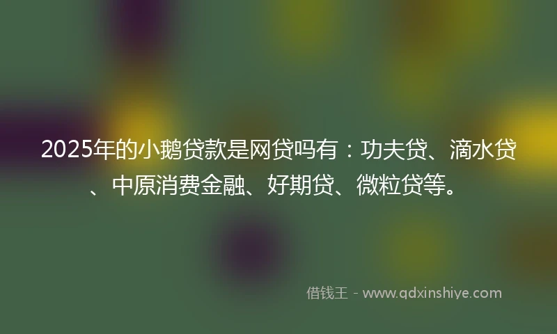 2025年的小鹅贷款是网贷吗有：功夫贷、滴水贷、中原消费金融、好期贷、微粒贷等。