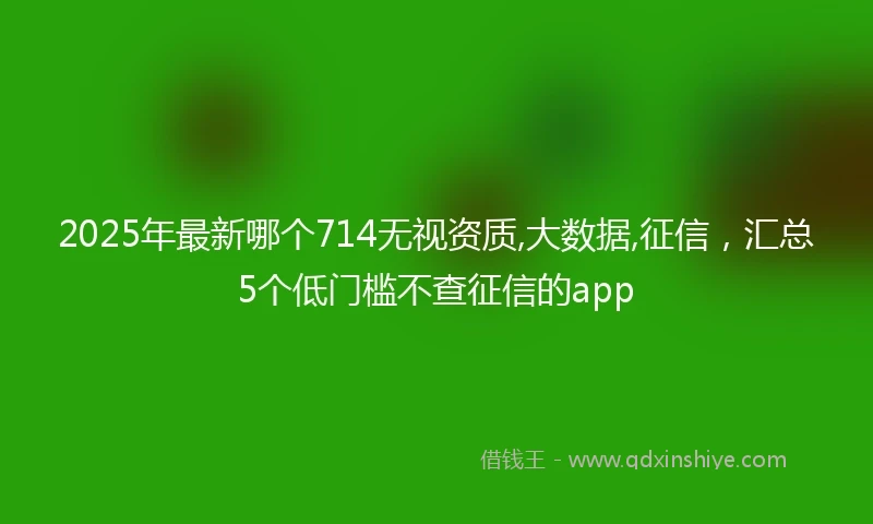 2025年最新哪个714无视资质,大数据,征信，汇总5个低门槛不查征信的app