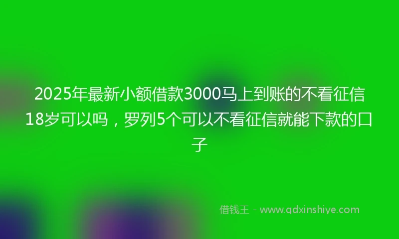 2025年最新小额借款3000马上到账的不看征信18岁可以吗，罗列5个可以不看征信就能下款的口子