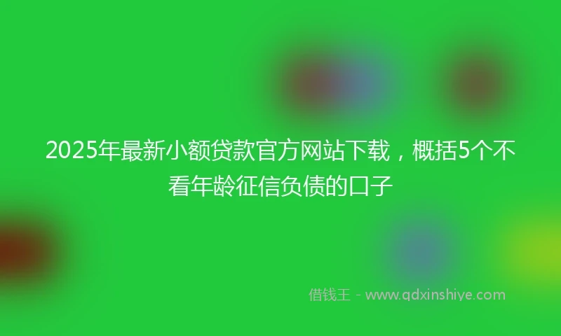2025年最新小额贷款官方网站下载，概括5个不看年龄征信负债的口子
