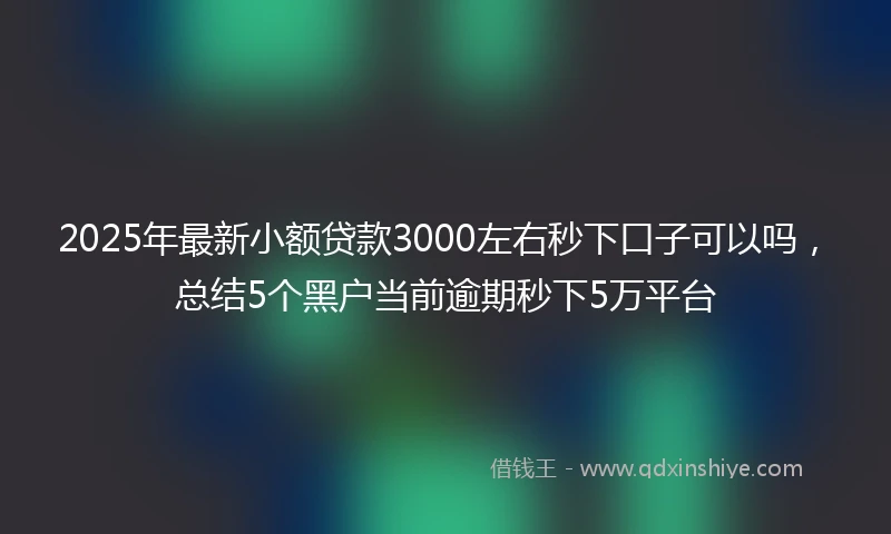 2025年最新小额贷款3000左右秒下口子可以吗，总结5个黑户当前逾期秒下5万平台