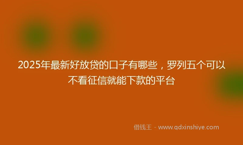 2025年最新好放贷的口子有哪些，罗列五个可以不看征信就能下款的平台