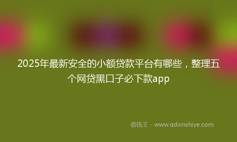 2025年最新安全的小额贷款平台有哪些，整理五个网贷黑口子必下款app