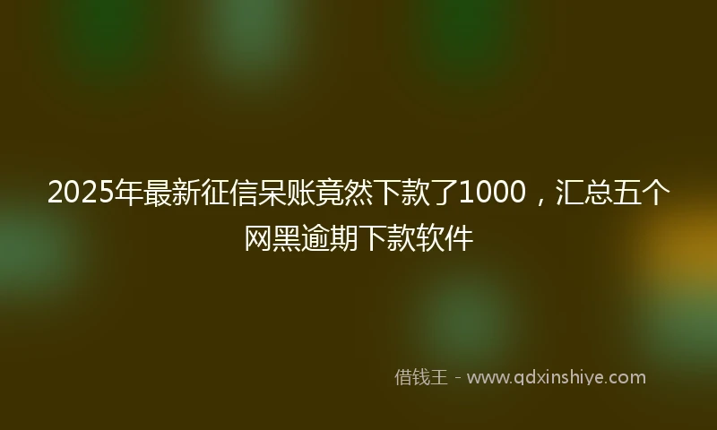 2025年最新征信呆账竟然下款了1000，汇总五个网黑逾期下款软件