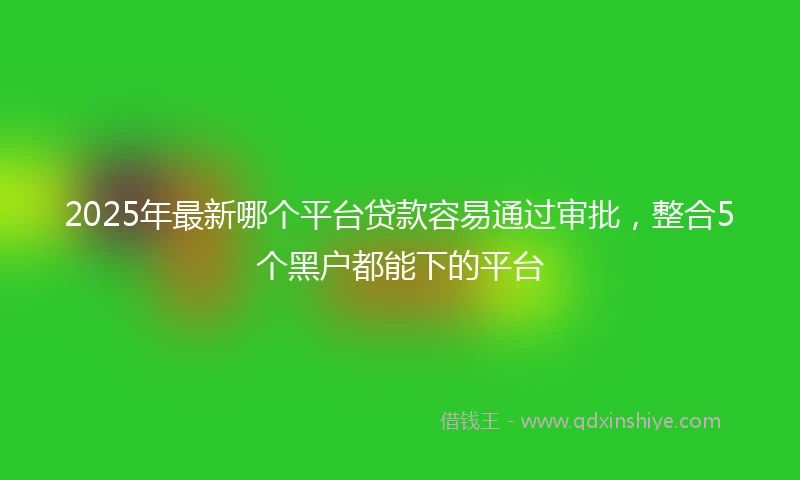 2025年最新哪个平台贷款容易通过审批，整合5个黑户都能下的平台