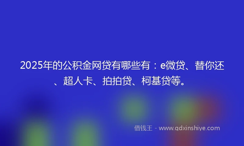 2025年的公积金网贷有哪些有：e微贷、替你还、超人卡、拍拍贷、柯基贷等。