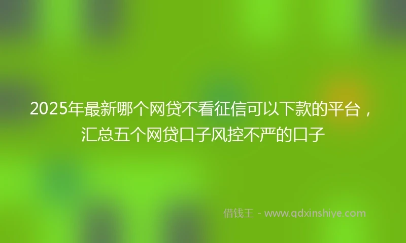 2025年最新哪个网贷不看征信可以下款的平台，汇总五个网贷口子风控不严的口子