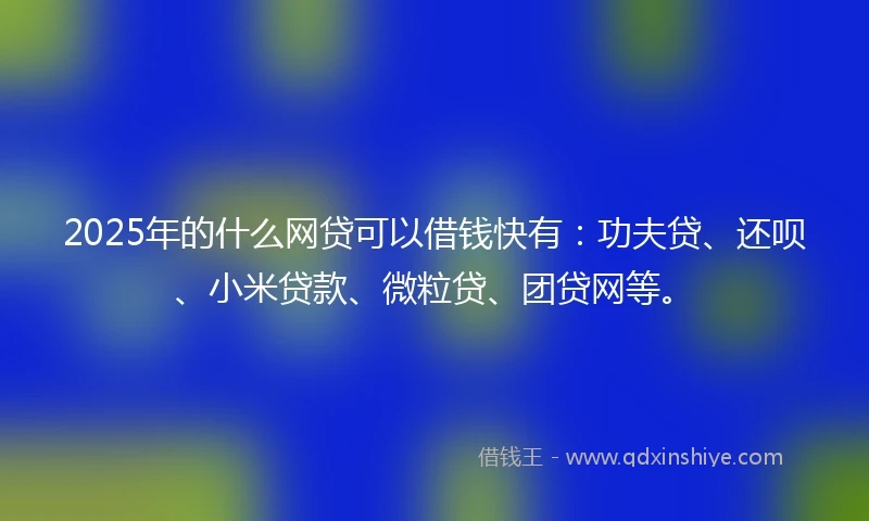 2025年的什么网贷可以借钱快有：功夫贷、还呗、小米贷款、微粒贷、团贷网等。