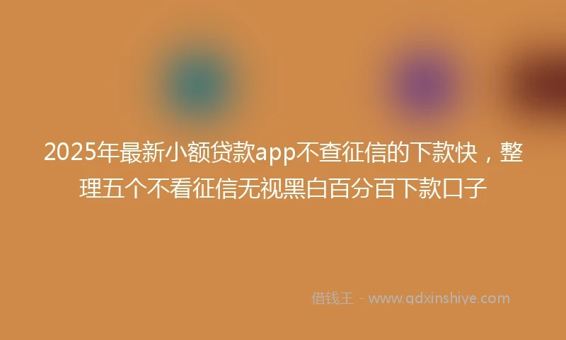 2025年最新小额贷款app不查征信的下款快，整理五个不看征信无视黑白百分百下款口子
