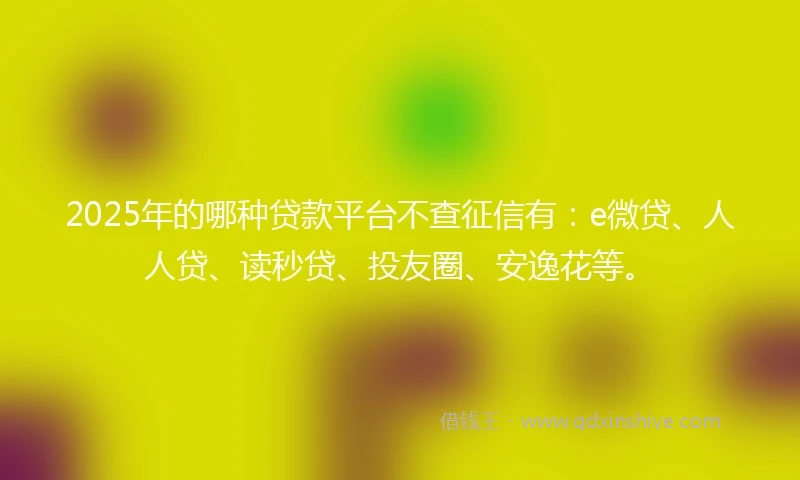 2025年的哪种贷款平台不查征信有：e微贷、人人贷、读秒贷、投友圈、安逸花等。