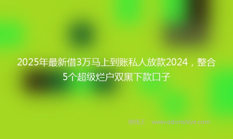 2025年最新借3万马上到账私人放款2024，整合5个超级烂户双黑下款口子