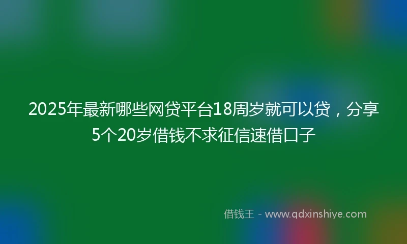 2025年最新哪些网贷平台18周岁就可以贷，分享5个20岁借钱不求征信速借口子