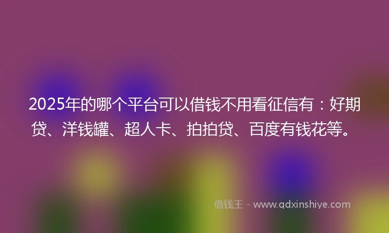 2025年的哪个平台可以借钱不用看征信有：好期贷、洋钱罐、超人卡、拍拍贷、百度有钱花等。