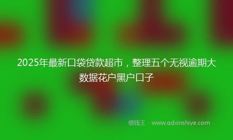 2025年最新口袋贷款超市，整理五个无视逾期大数据花户黑户口子
