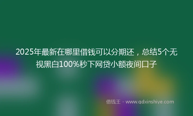 2025年最新在哪里借钱可以分期还，总结5个无视黑白100%秒下网贷小额夜间口子